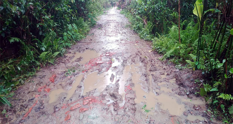 বর্ষায় জলাবদ্ধতা, জকিগঞ্জে এক সড়কের দুর্ভোগে ৫ গ্রাম