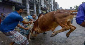 নামাজ শেষেই দেশজুড়ে শুরু পশু কোরবানি