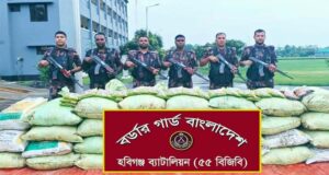 মাধবপুরে বালুভর্তি ট্রাকে লুকানো ১৮ লাখ টাকার ভারতীয় ফুসকা জব্দ