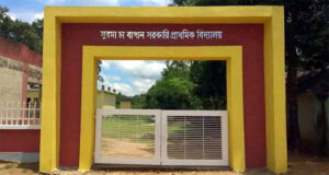 চা-বাগান থেকে গ্রাম—সময়ের আগেই স্কুলে শিক্ষক