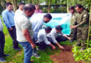 পরিবেশ সুরক্ষায় বড় উদ্যোগ: চুনারুঘাটে ১৯ হাজার গাছ রোপণের ঘোষণা