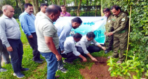 পরিবেশ সুরক্ষায় বড় উদ্যোগ: চুনারুঘাটে ১৯ হাজার গাছ রোপণের ঘোষণা