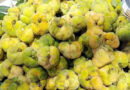দেশি ফল ডেউয়ার রয়েছে অসাধারণ স্বাস্থ্য উপকারিতা