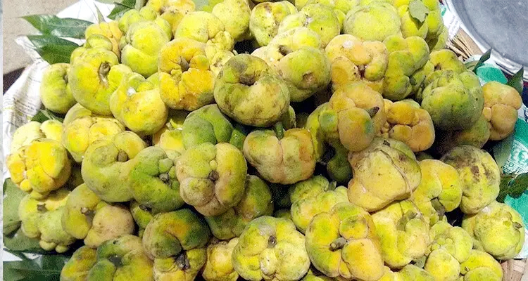দেশি ফল ডেউয়ার রয়েছে অসাধারণ স্বাস্থ্য উপকারিতা