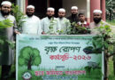 বিশ্ব পরিবেশ দিবসে বানিয়াচংয়ে ছাত্র জমিয়তের বৃক্ষরোপণ