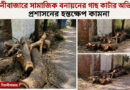 বিয়ানীবাজারে সামাজিক বনায়নের গাছ কাটার অভিযোগ