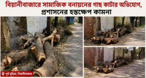 <span style='color:#ff0000;font-size:18px;'>প্রশাসনের হস্তক্ষেপ কামনা</span> <br/> বিয়ানীবাজারে সামাজিক বনায়নের গাছ কাটার অভিযোগ