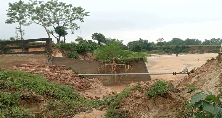 চা বাগানের দুই প্রান্তে দুর্ভোগ, ধসে পড়ল একমাত্র সেতু