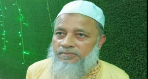 সংবাদপত্রসেবী ইসমাইল হোসেন আর নেই