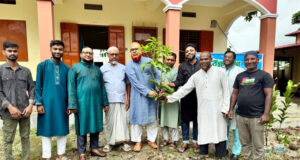 বিশ্বনাথে অলংকারী ইউনিয়ন জামায়াতের বৃক্ষরোপণ কর্মসূচি অনুষ্ঠিত