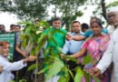 জুড়ীতে ৫ কোটি বৃক্ষরোপণ কর্মসূচির শুভ উদ্বোধন