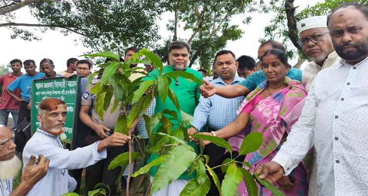 জুড়ীতে ৫ কোটি বৃক্ষরোপণ কর্মসূচির শুভ উদ্বোধন