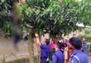 নবীগঞ্জে আমগাছ থেকে ঝুলন্ত অবস্থায় যুবকের মরদেহ উদ্ধার