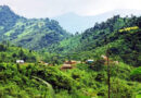 খাগড়াছড়িতে গোলাগুলি, নিহত ৩