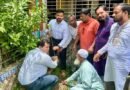 জাতীয় প্রাথমিক শিক্ষা পদক উপলক্ষে মাধবপুরে সম্প্রচার ও বৃক্ষরোপণ কর্মসূচি