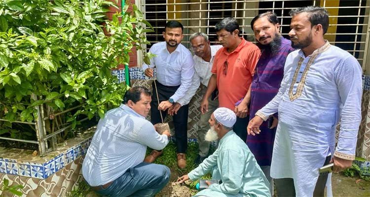 জাতীয় প্রাথমিক শিক্ষা পদক উপলক্ষে মাধবপুরে সম্প্রচার ও বৃক্ষরোপণ কর্মসূচি