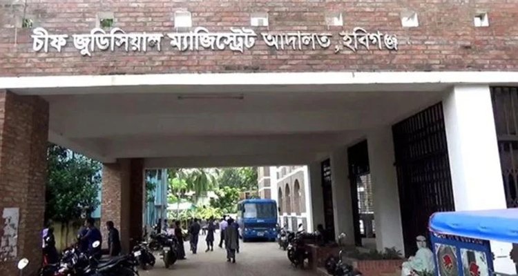 হবিগঞ্জে এনসিপির মামলায় জেলা ছাত্রদল সভাপতিসহ ১১ জনের জামিন