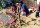 সাপের কামড়ে মৃত্যুর তিন দিন পর জীবিত করতে ঝাড়ফুঁক