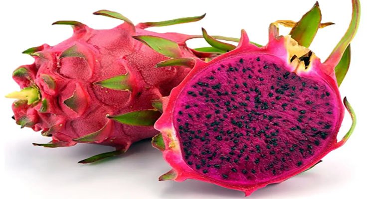 ড্রাগন ফল খাওয়া যাদের জন্য নিরাপদ নয়