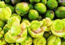 আমড়া খেলে মিলতে পারে যেসব স্বাস্থ্য উপকারিতা