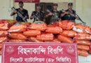 সিলেট সীমান্তে ২৯ লাখ টাকার ভারতীয় পণ্য জব্দ