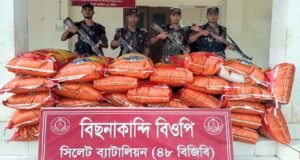 সিলেট সীমান্তে ২৯ লাখ টাকার ভারতীয় পণ্য জব্দ