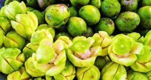 আমড়া খেলে মিলতে পারে যেসব স্বাস্থ্য উপকারিতা
