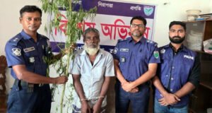 লাখাইয়ে গাঁজার গাছসহ গ্রেফতার ১