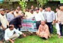 দেশ যুব সংগঠন সিলেটের উদ্যোগে মাসব্যাপী বৃক্ষরোপণ কর্মসূচীর উদ্বোধন