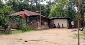 বড়লেখায় চা বাগানে বিষপানে চা শ্রমিক নারীর মৃত্যু