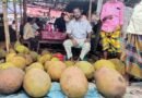 মাধবপুরে মৌসুমি ফল বিক্রি করে স্বাবলম্বী তোফায়েল