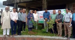 ছাতক পৌরসভার উদ্যোগে বৃক্ষরোপন কর্মসূচির উদ্বোধন