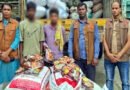 সুনামগঞ্জে ভারতীয় ফুচকা জব্দ, কাভার্ডভ্যানসহ গ্রেফতার ২