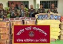 মাধবপুরে ৬২ লাখ টাকার ভারতীয় অবৈধ পণ্য জব্দ