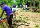 সুনামগঞ্জে সাড়ে ৪ হাজার গাছ কাটার ঘটনার তদন্ত কমিটি গঠন