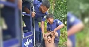 ডাব চুরি করতে গিয়ে ভিমরুলের কামড়, মালিককে ডাকলেন চোর