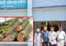 ছাতকে গাছের নিলাম মূল্যায়ন ও নিরপেক্ষ তদন্তের দাবিতে স্মারকলিপি