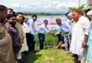 গোয়াইনঘাটে আলীরগাঁও ইউনিয়নে বৃক্ষরোপণ ও চারা বিতরণ