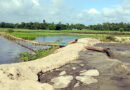 নবীগঞ্জে কুশিয়ারা থেকে অবৈধভাবে বালু তোলা চলছেই