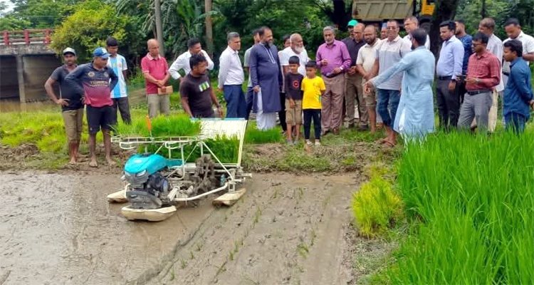 আধুনিক প্রযুক্তিতে কৃষির উন্নয়ে ছাতকে কৃষক-কৃষাণীদের প্রশিক্ষণ