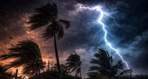 বজ্রপাতে ২ ভাইসহ ৩ জনের মৃত্যু
