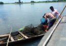 শান্তিগঞ্জের হাওরে অবৈধ রিংজাল উদ্ধার, আগুনে পুড়িয়ে ধ্বংস