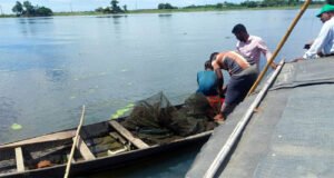 শান্তিগঞ্জের হাওরে অবৈধ রিংজাল উদ্ধার, আগুনে পুড়িয়ে ধ্বংস