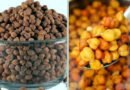 সকালে খালি পেটে কাঁচা ছোলা কী কী উপকার করে?