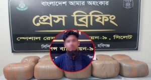 শায়েস্তাগঞ্জে ৫৫ কেজি গাঁজাসহ পিকআপ জব্দ, আটক ১