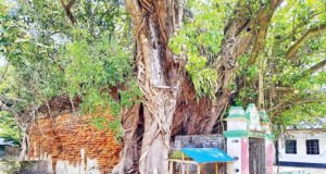 ৬০০ বছরের বারো আউলিয়ার দরবার
