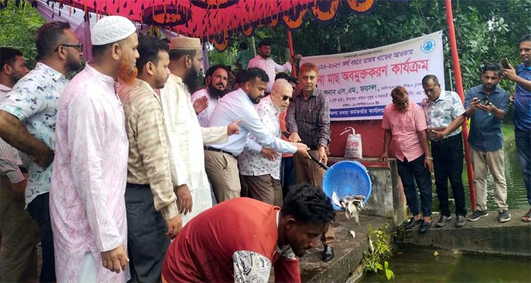 মাধবপুরে পোনা মাছ অবমুক্ত, শিক্ষকদের সঙ্গে এমপির মতবিনিময়