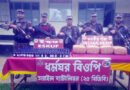 মাধবপুরে বিপুল পরিমাণ গাঁজা-ইস্কফ উদ্ধার