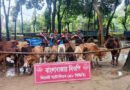 সিলেট সীমান্তে ১ কোটি ৮৬ লাখ টাকার ভারতীয় পণ্য জব্দ
