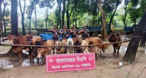 সিলেট সীমান্তে ১ কোটি ৮৬ লাখ টাকার ভারতীয় পণ্য জব্দ